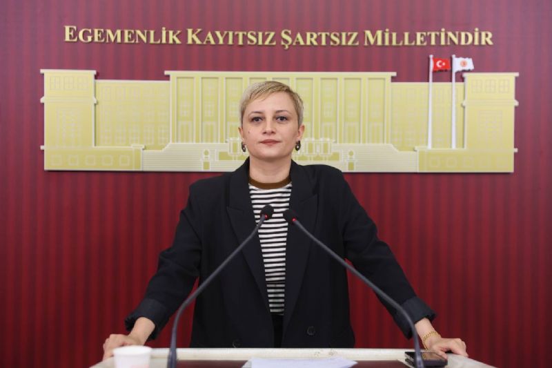 TBMM BASIN TOPLANTISI: DEM PARTİ MERSİN MİLLETVEKİLİ PERİHAN KOCA, YKS SONUÇLARINI DEĞERLENDİRDİ