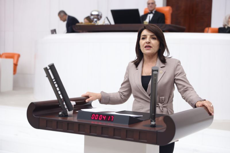 Gülcan Kış: “DSİ’nin görevini belediyelere yıkıyorlar”